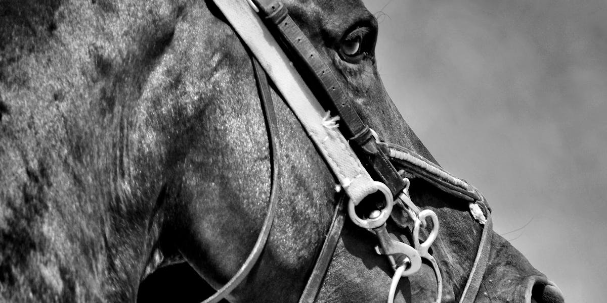 Copywriting para iscas digitais: ebooks, checklists e mais
