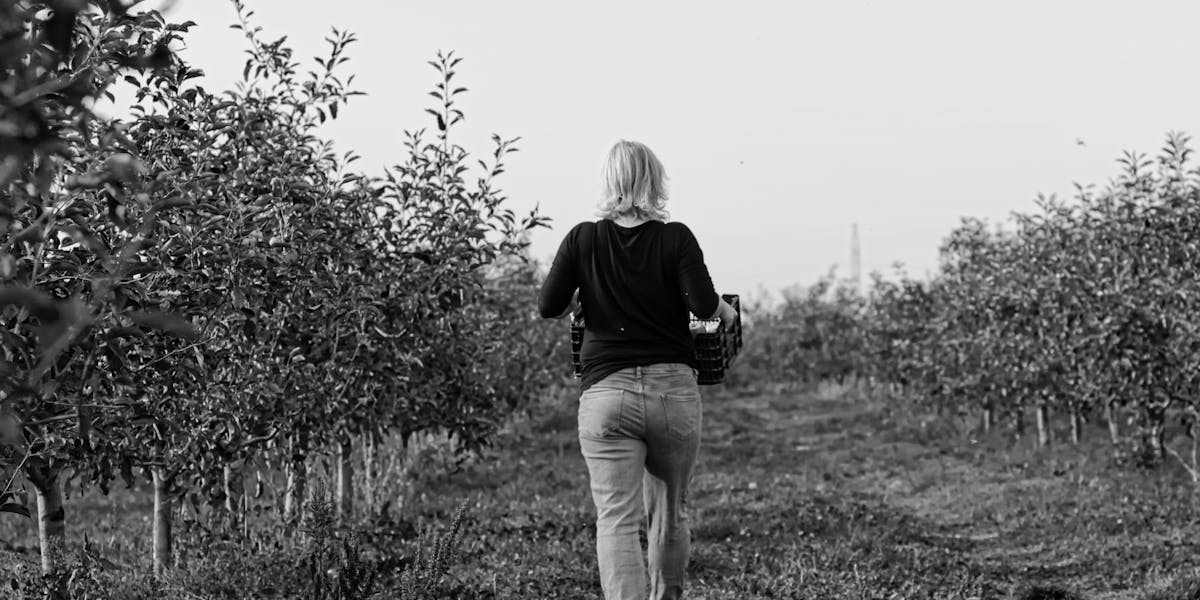 Copywriting para lançamentos sazonais: venda no timing certo